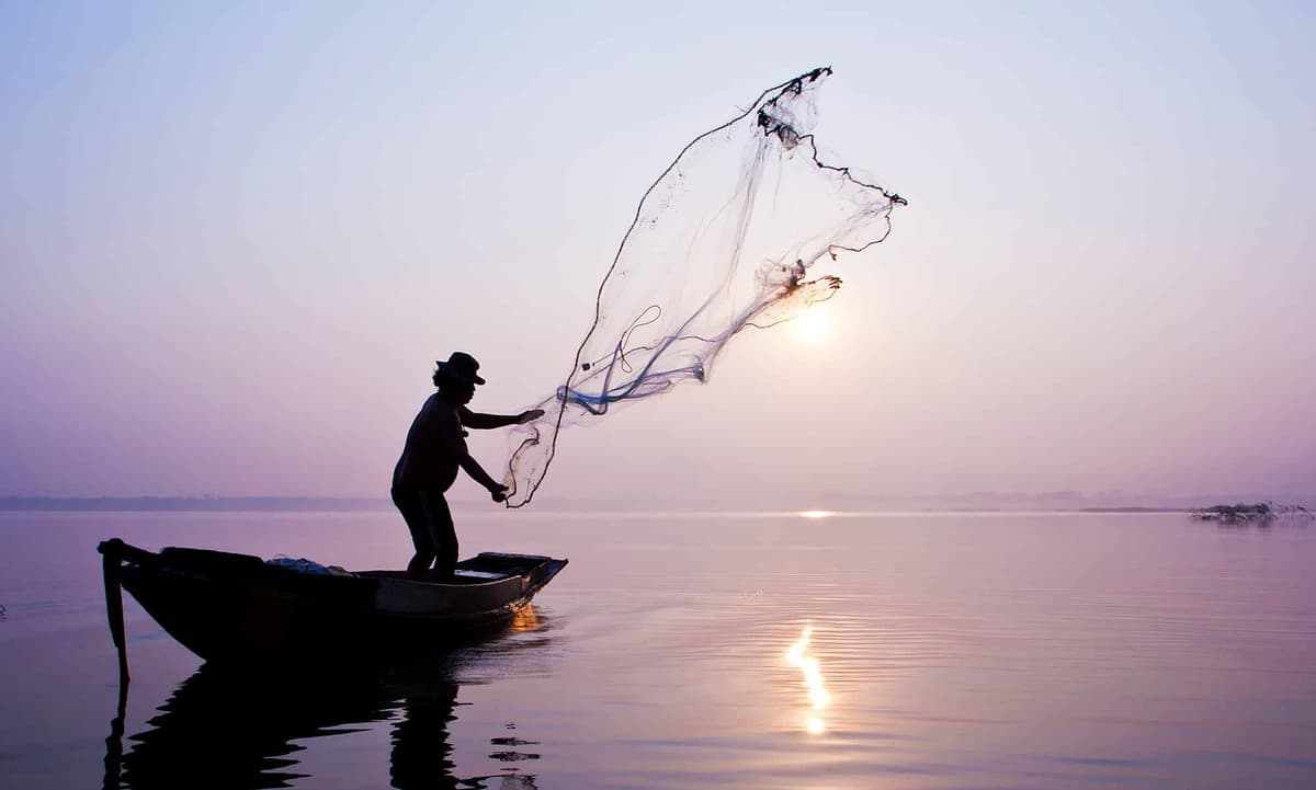 Seguro defeso do pescador artesanal: o que é, quais os requisitos?