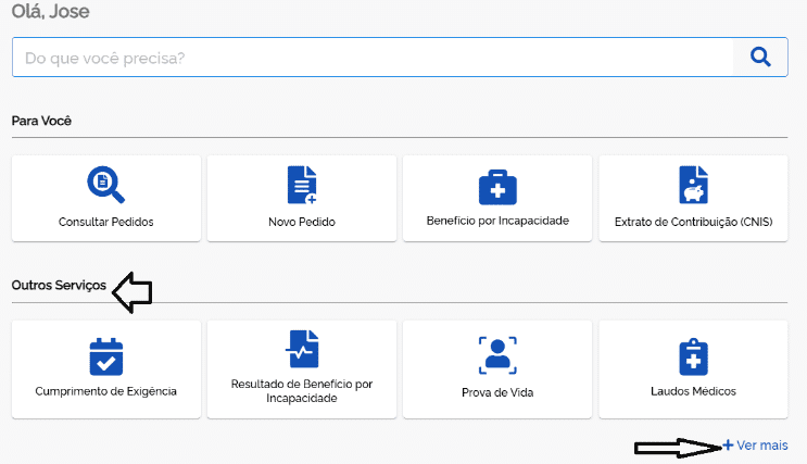 pagina do inss