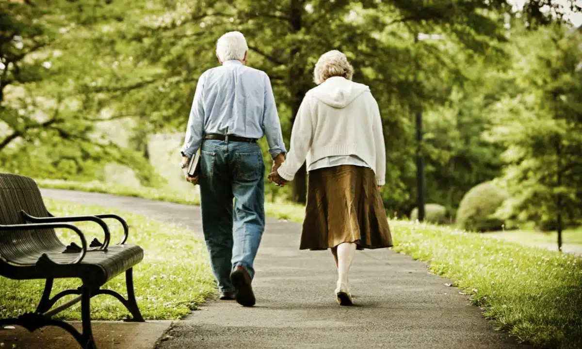 Mandado de segurança para concessão do benefício assistencial de prestação continuada (BPC-LOAS)