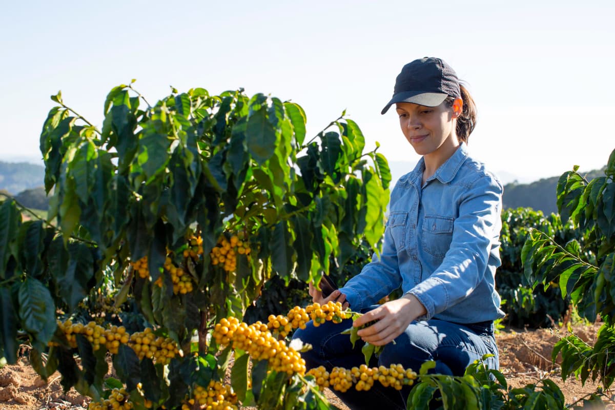Agricultora reverte decisão do INSS e recebe salário-maternidade