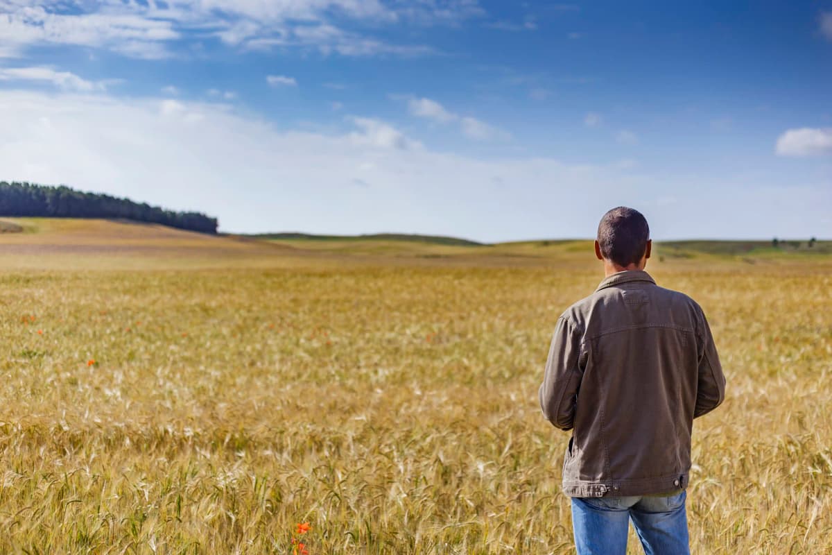 As diferenças entre o empregado rural e o segurado especial à luz da Lei nº 8.213/1991