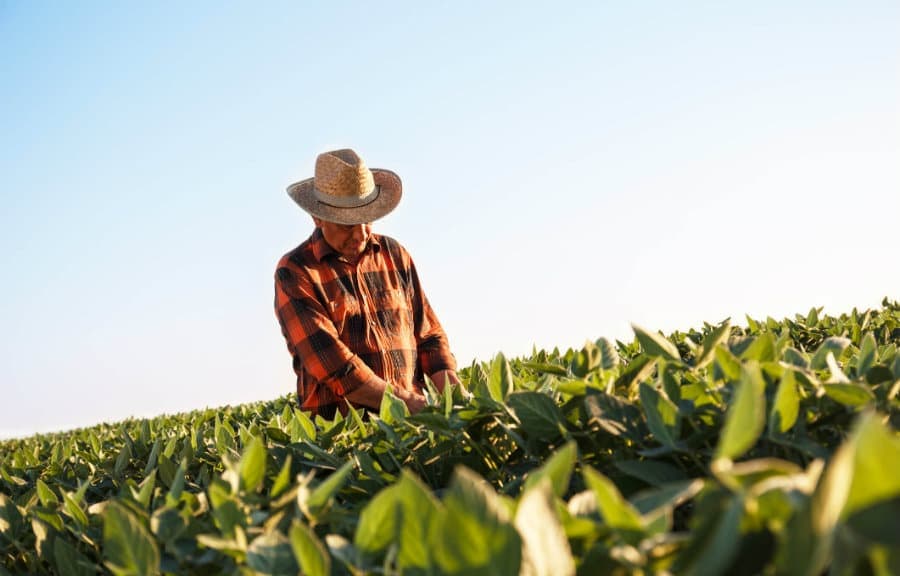 Concedida tutela antecipada de agricultor para aposentadoria rural por idade