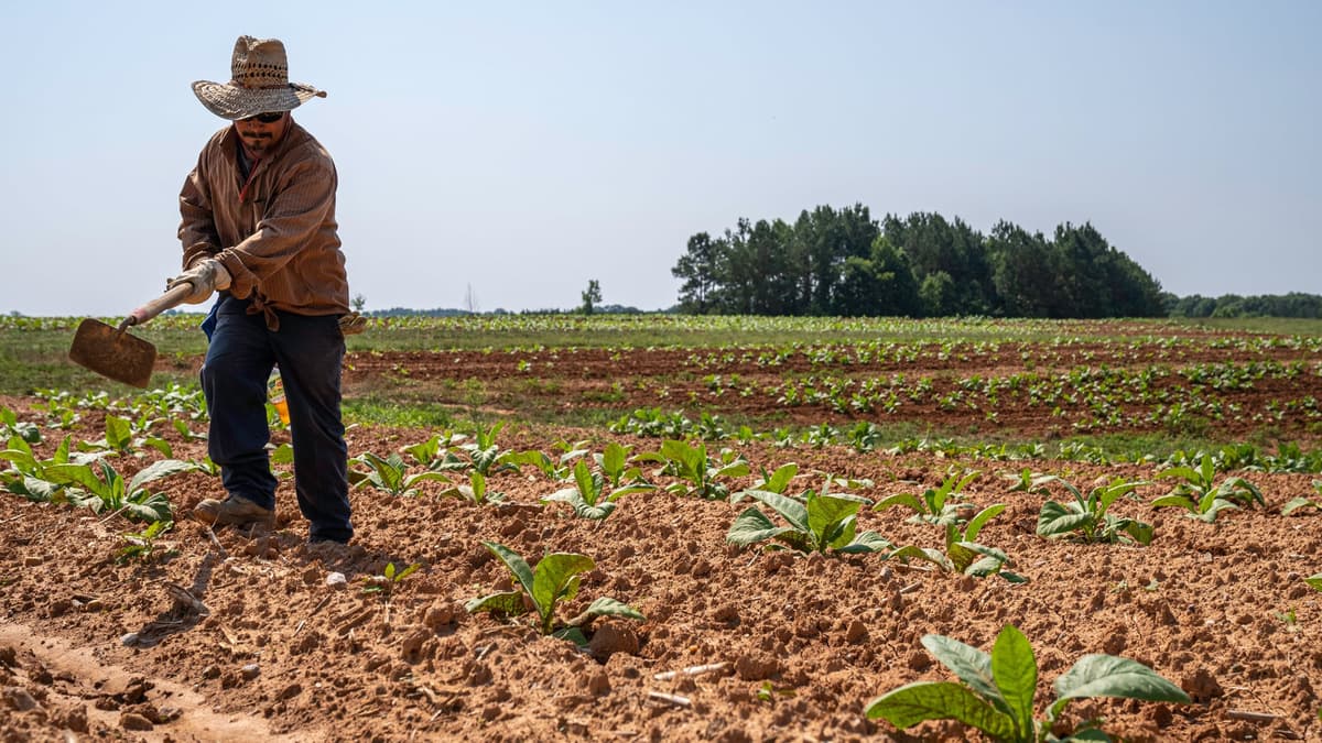 Mudança em aposentadoria rural pode gerar economia de R$ 900 bi