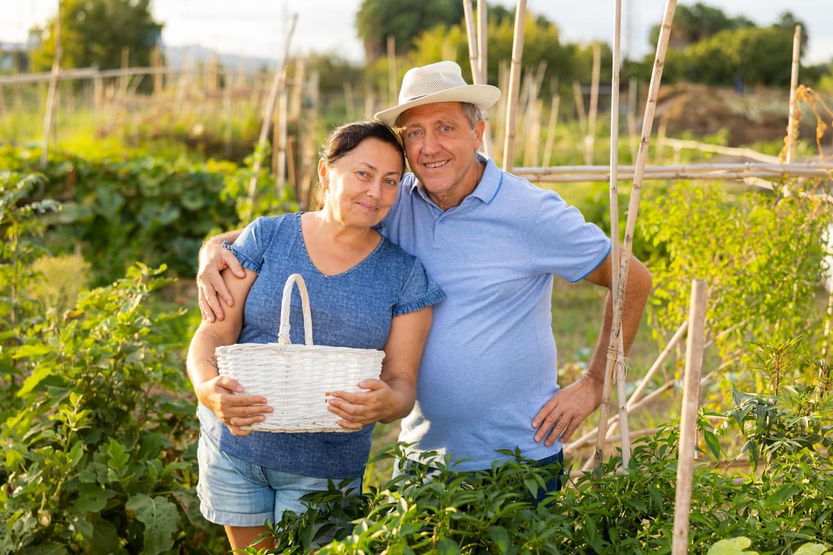 Esposa de produtor rural tem direito a aposentadoria?
